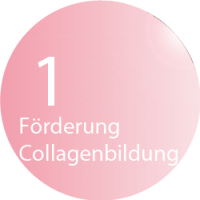 Beautylight in der Balance Vital Lounge Kassel & Hofgeismar - Förderung der Collagenbildung